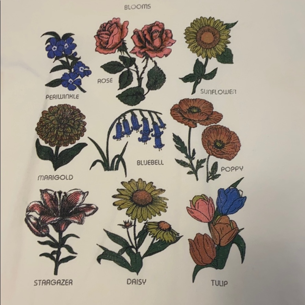 Urban Outfitters types of flowers tee shirt
